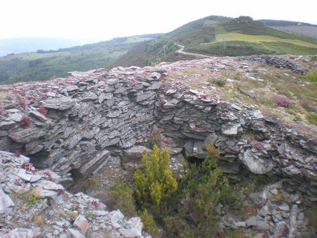 Castro de San Isidro