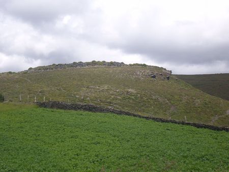 Castro de San Isidro