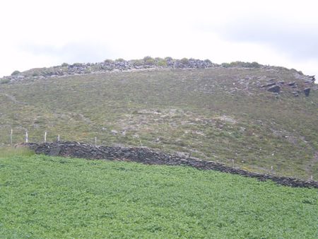 Castro de San Isidro