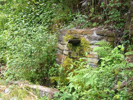 Fuente camino del Mazo