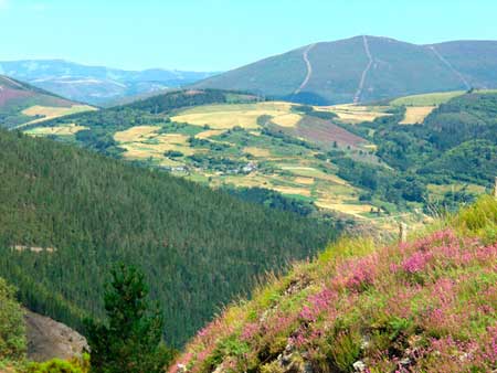 Ruta de Mon