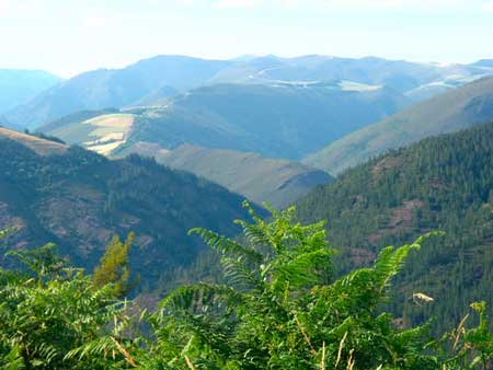Ruta de Mon