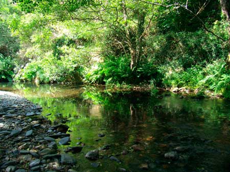 Ruta de Mon