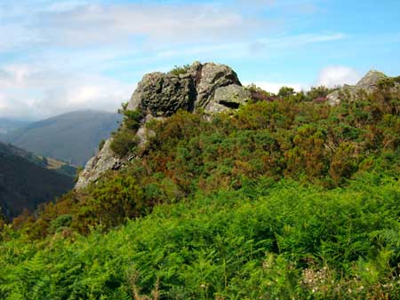 Ruta de Mon
