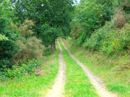 Ruta de Mon