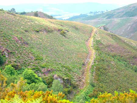 Ruta de Mon