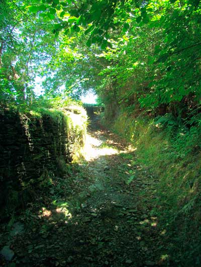 Ruta de Mon