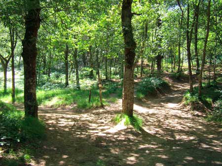 Ruta Monte Marón - A Escuita