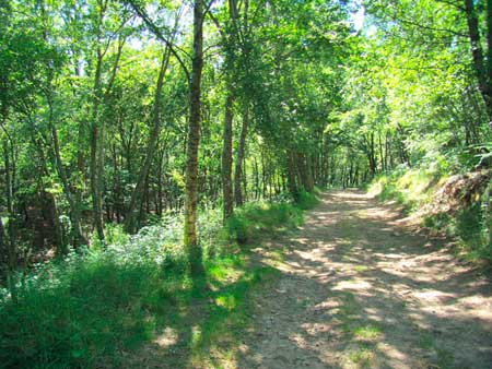 Ruta Monte Marón - A Escuita