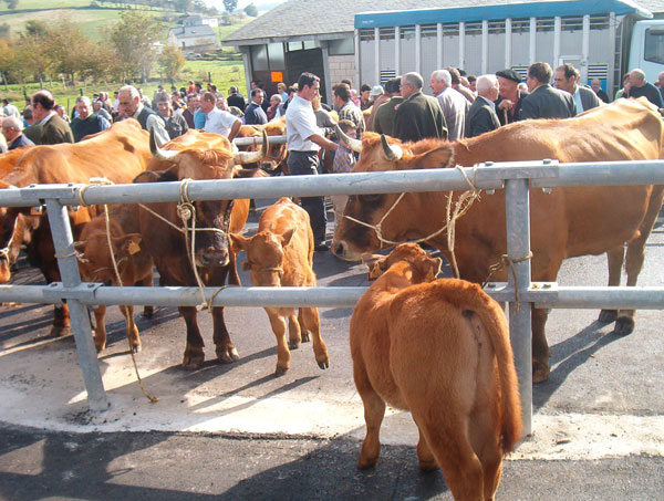 Imagen de la Feria de San Martín
